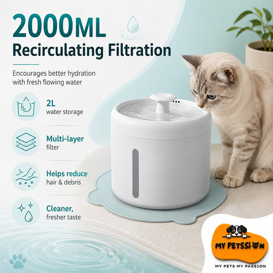 Pet water fountain with cat drinking, featuring 2000ML recirculating filtration system.