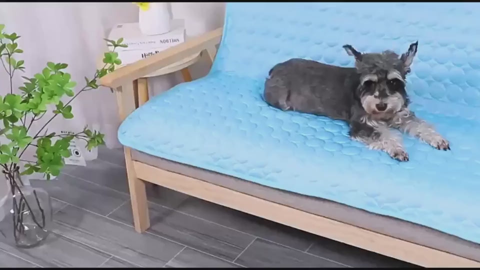 video demo of dog sitting on the blue cooling mat