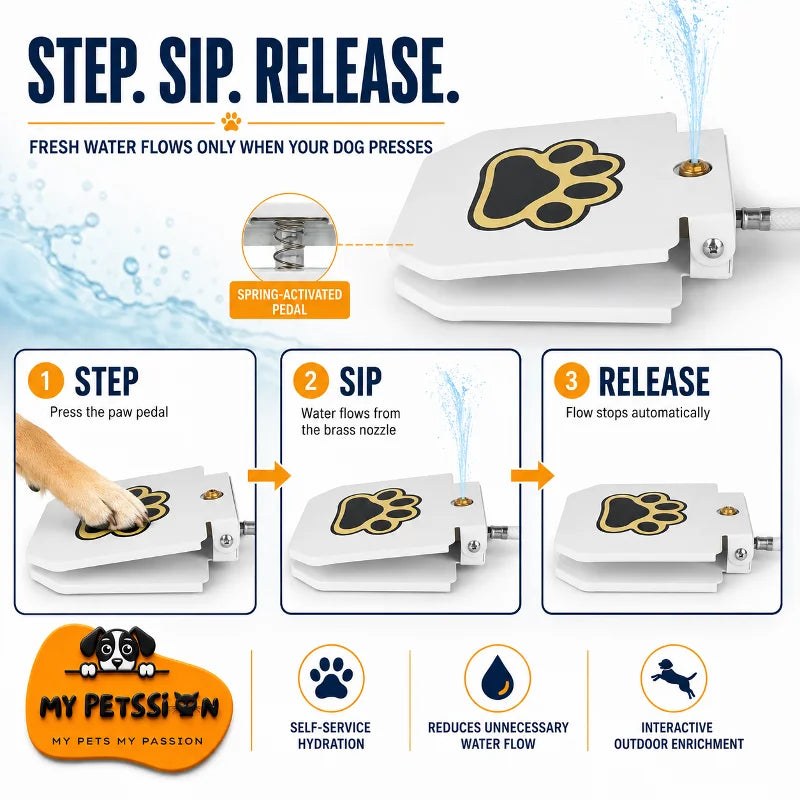 Dog pressing the paw-shaped pedal to activate the outdoor water fountain, with water stopping automatically when the pedal is released.
