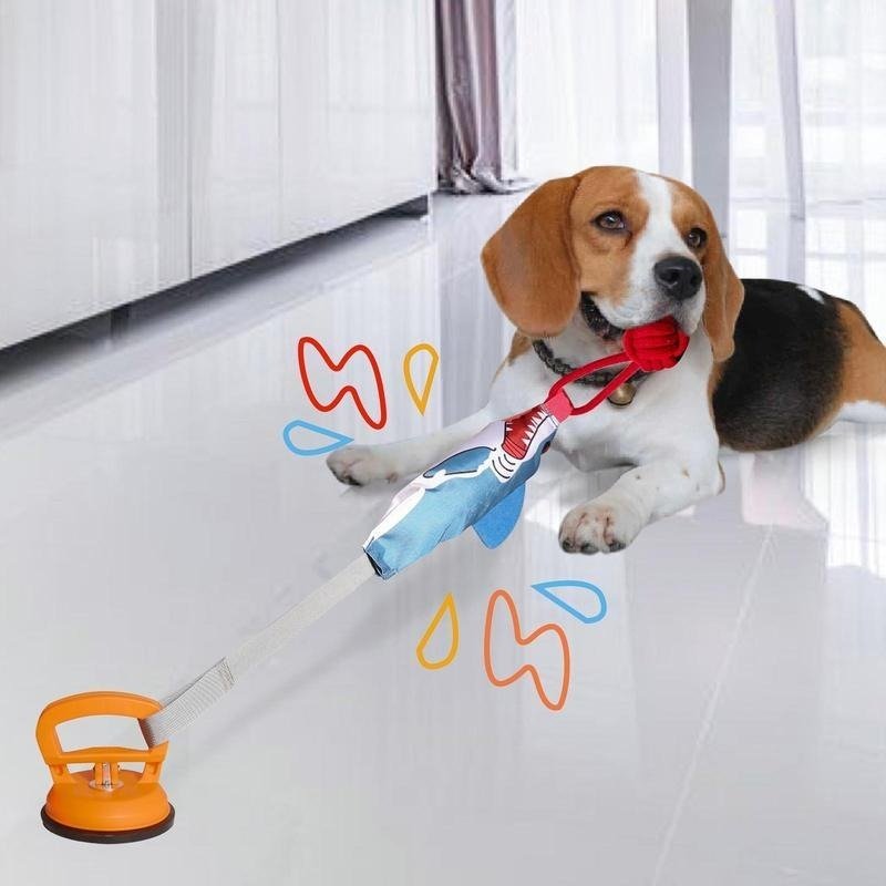 Beagle playing with shark suction cup toy on floor with colorful interactive design elements