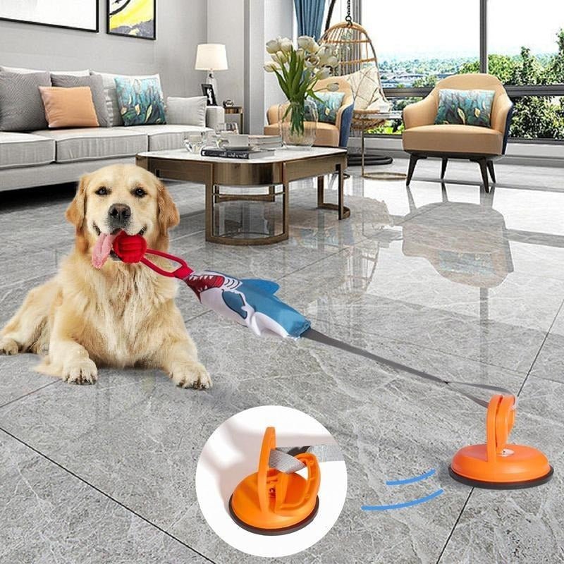 Golden dog playing with shark suction cup toy on smooth floor surface