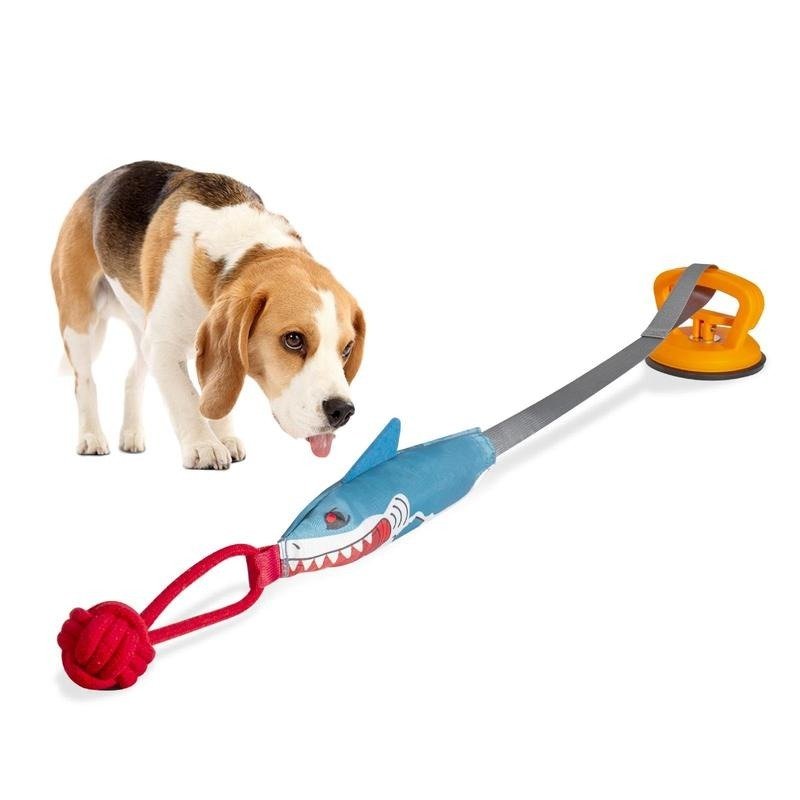 Beagle playing with shark suction cup interactive toy with knot ball and ribbon attachment.