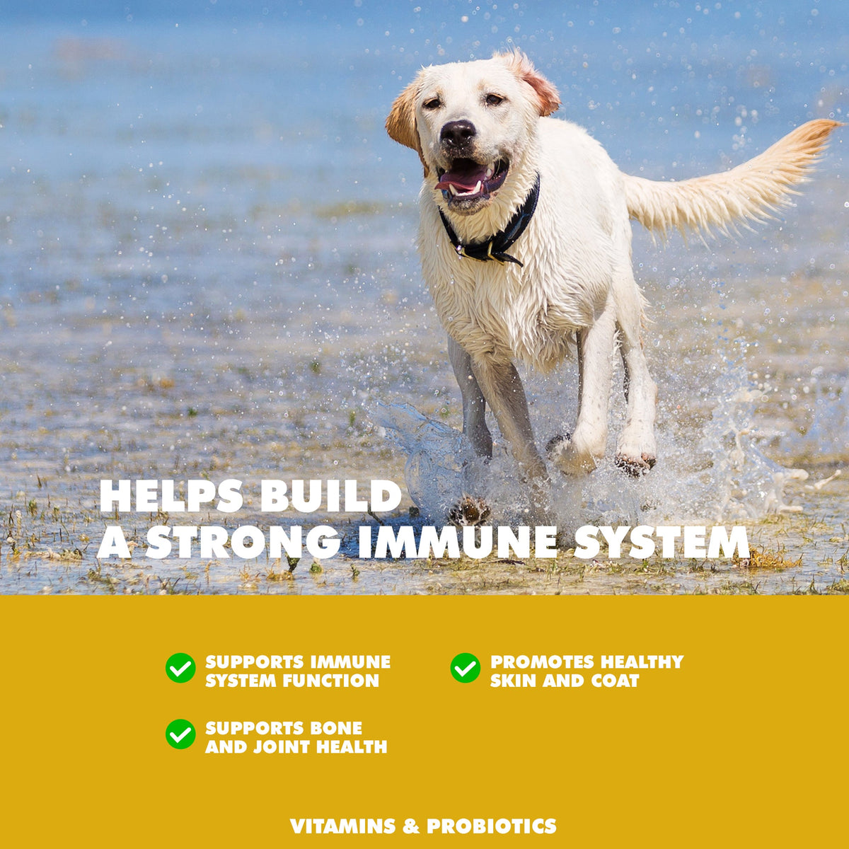UBAVET Daily Multi-Vitamin for Dogs, 90 Chews